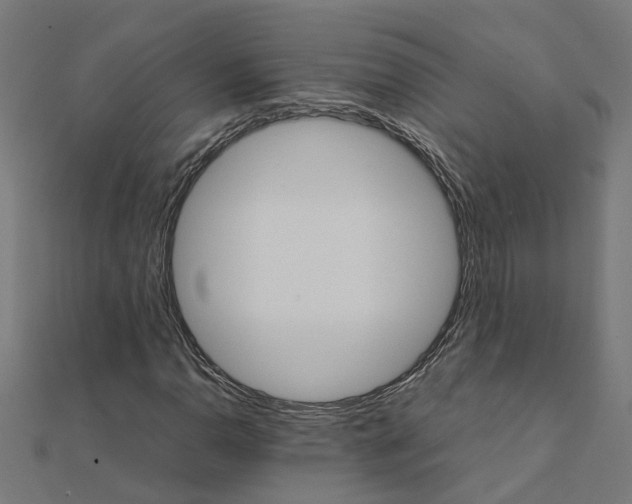 X0000111231110200907301240