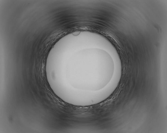 X0000111231111200907301240