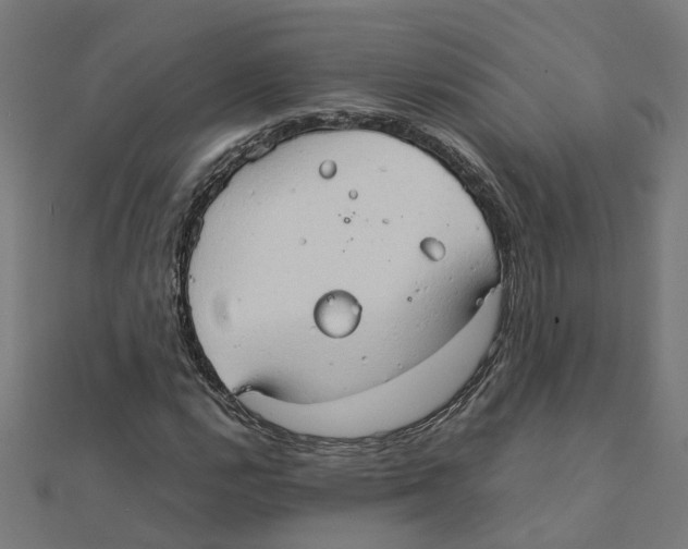 X0000111231112200907301240