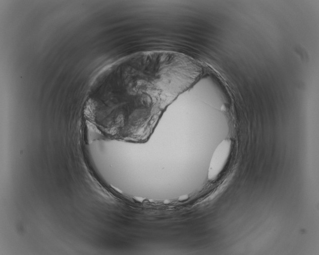 X0000111231113200907301240