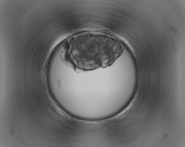 X0000111231114200907301240