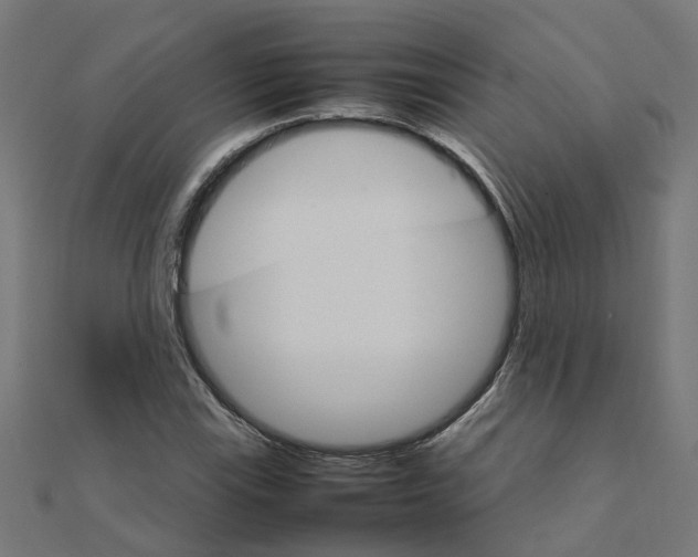 X0000111231115200907301240