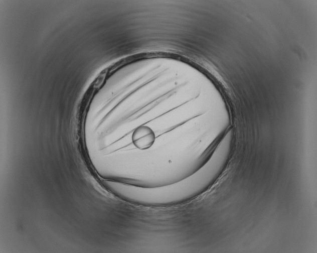 X0000111231116200907301240