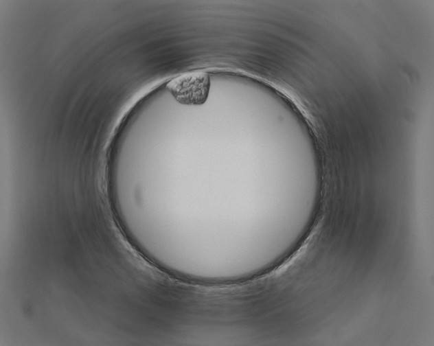 X0000111231118200907301240