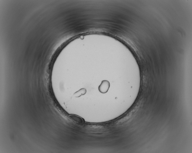 X0000111231119200907301240