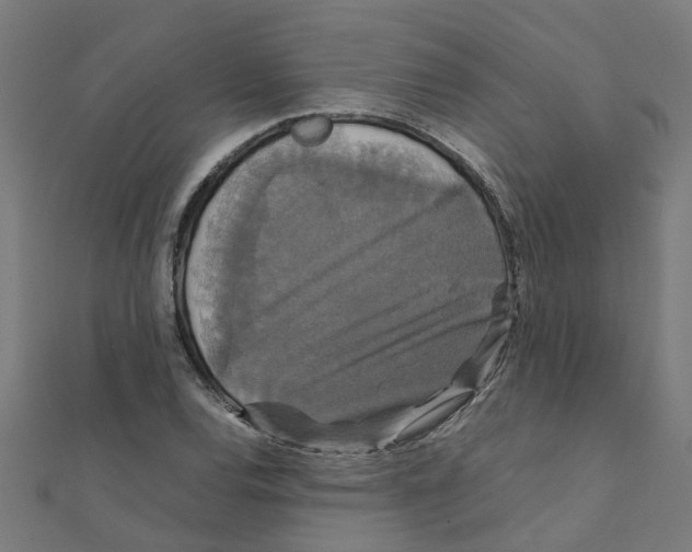 X0000111231120200907301240