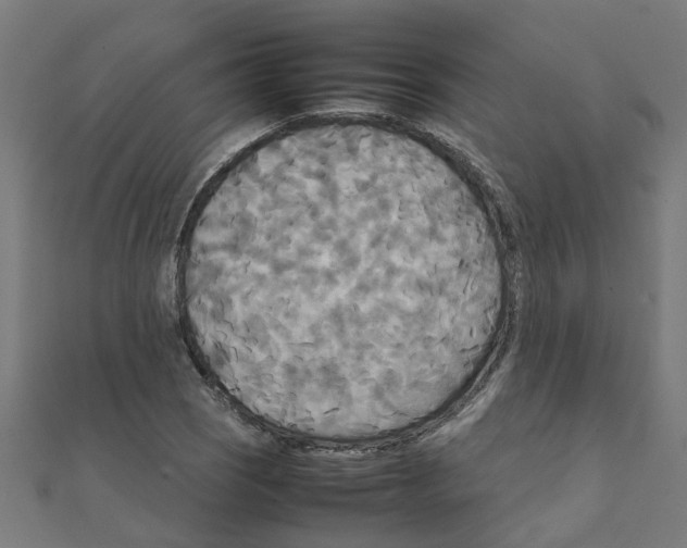 X0000111231121200907301240