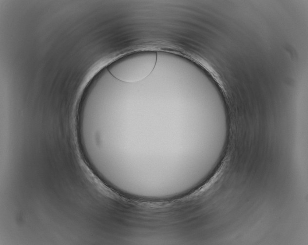 X0000111231122200907301240