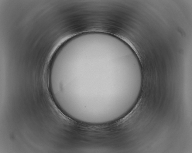 X0000111231123200907301240