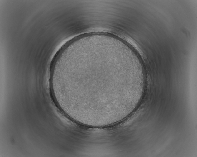 X0000111231124200907301240