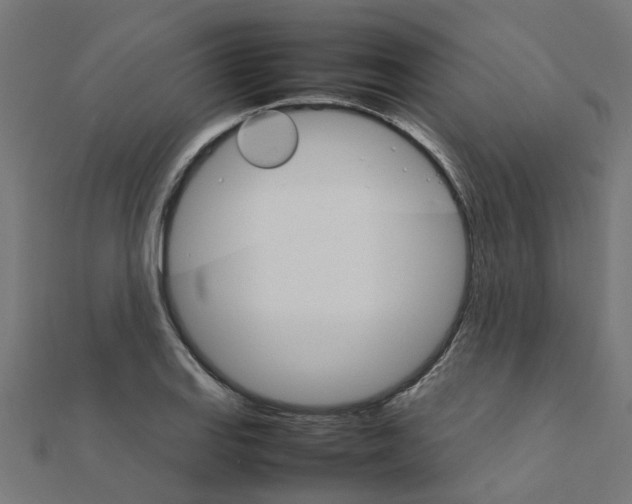 X0000111231127200907301240