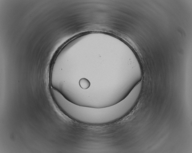 X0000111231128200907301240