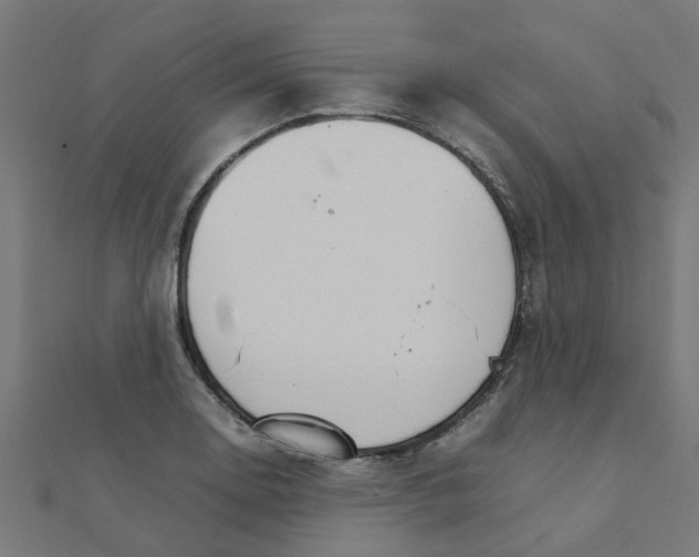 X0000111231130200907301241