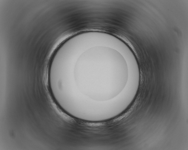 X0000111231131200907301241