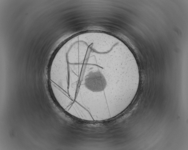 X0000111231133200907301241