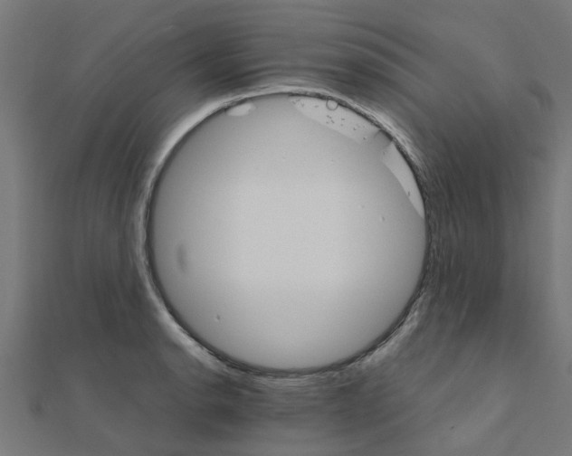 X0000111231134200907301241