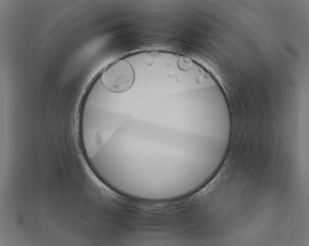 X0000111231135200907301241