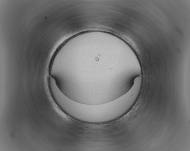 X0000111231136200907301241