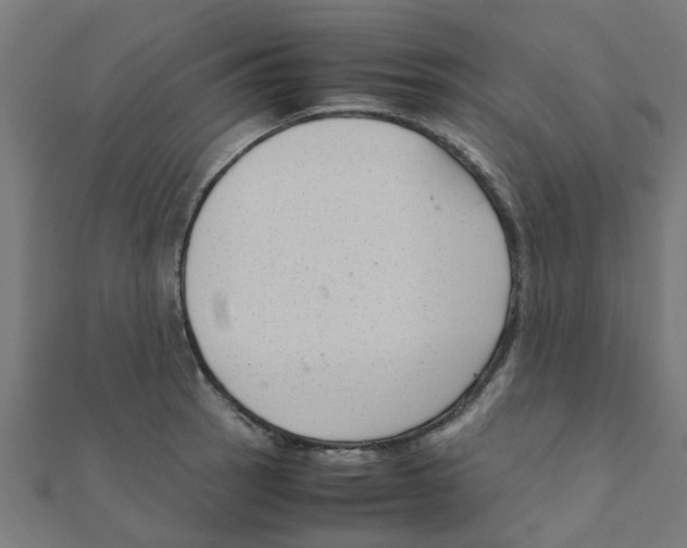 X0000111231137200907301241