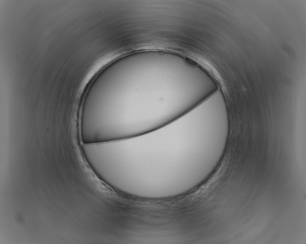 X0000111231138200907301241