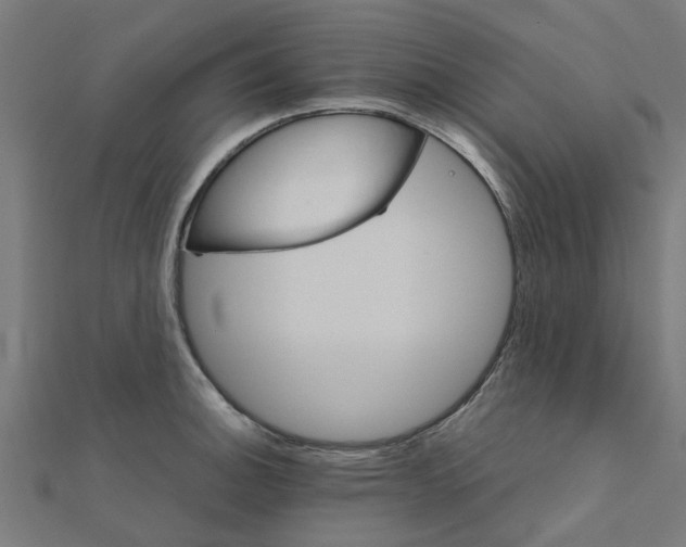 X0000111231140200907301241