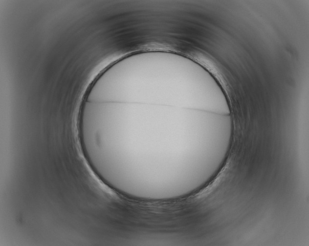 X0000111231141200907301241