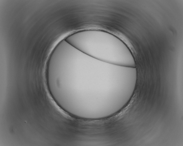 X0000111231142200907301241