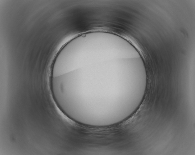 X0000111231143200907301241