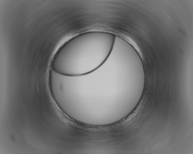X0000111231146200907301241
