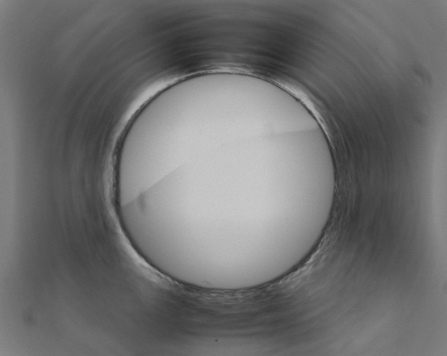 X0000111231147200907301241