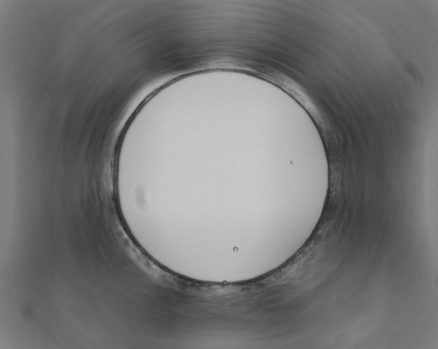 X0000111231148200907301241