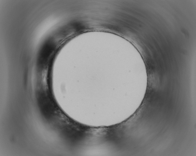 X0000111231150200907301241
