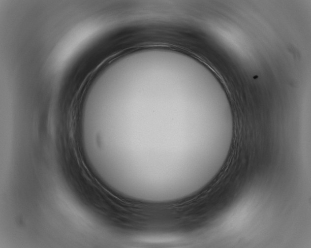 X0000111231151200907301241