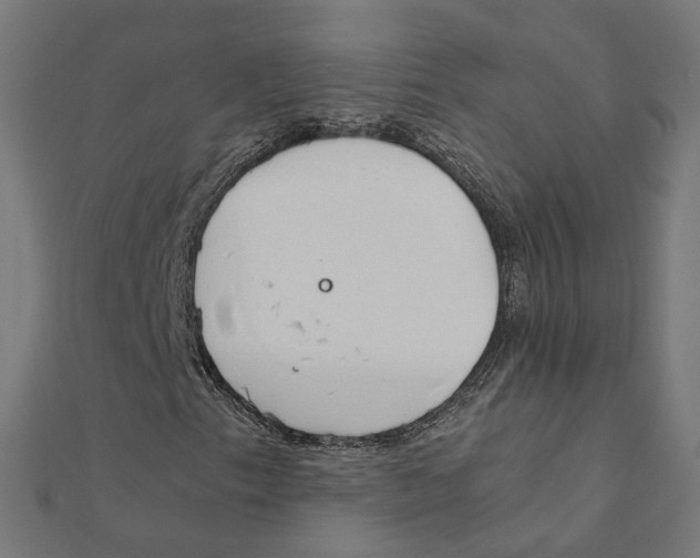 X0000111231153200907301240