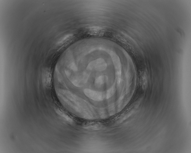 X0000111231154200907301240