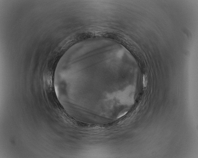 X0000111231155200907301240