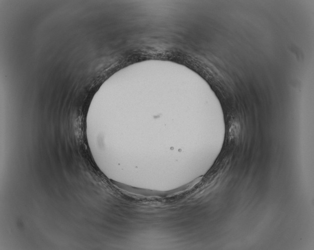 X0000111231156200907301240