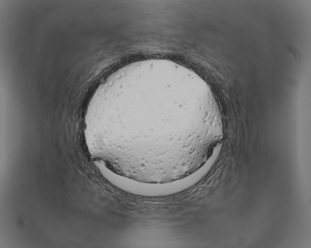 X0000111231157200907301240