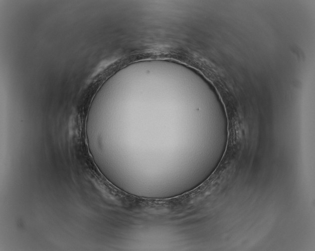 X0000111231158200907301240