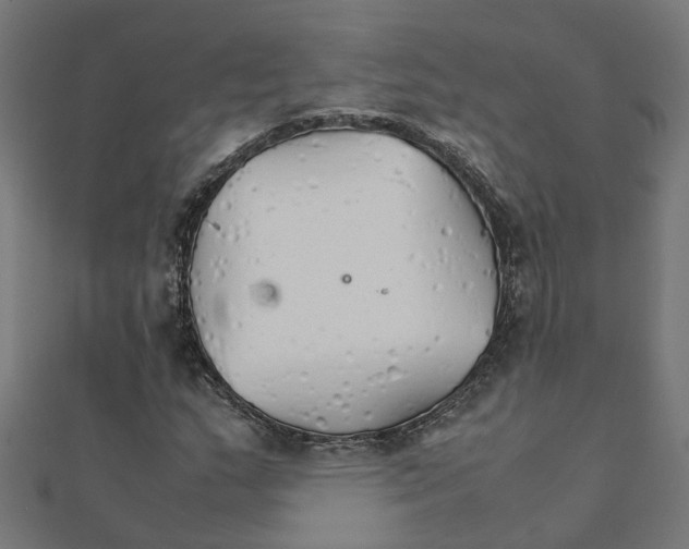 X0000111231159200907301240