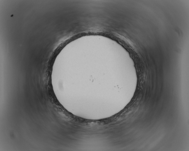 X0000111231160200907301240
