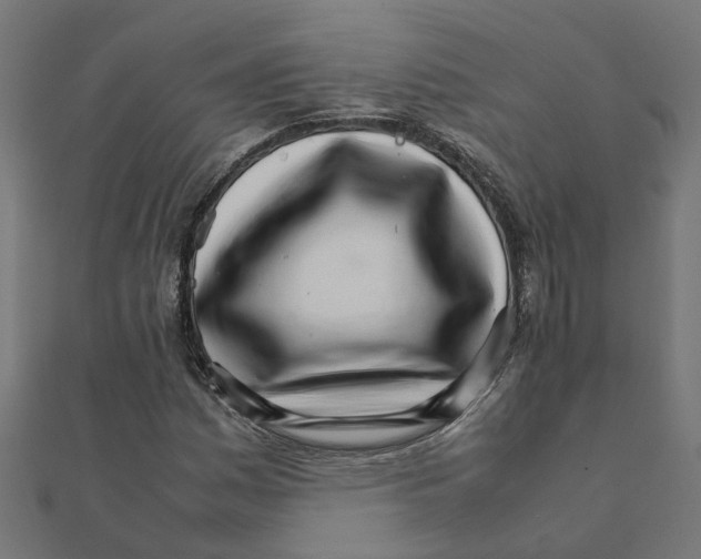 X0000111231161200907301240