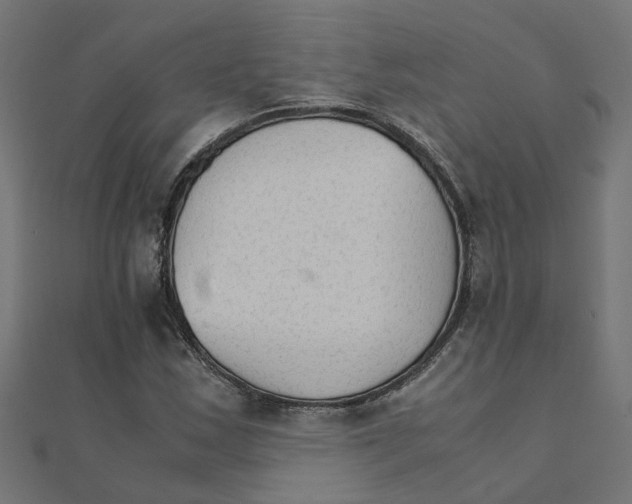 X0000111231163200907301240