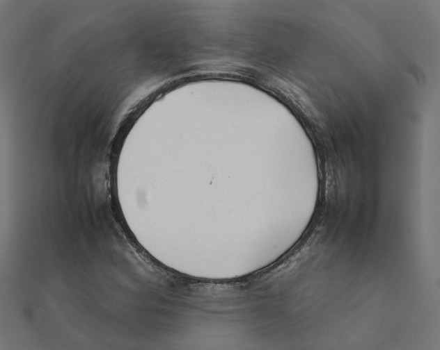 X0000111231164200907301240