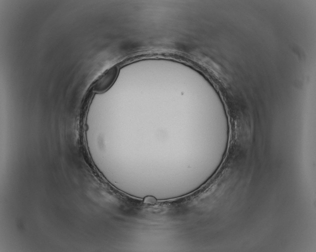 X0000111231165200907301240