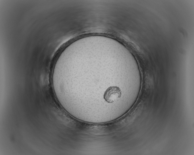 X0000111231166200907301240