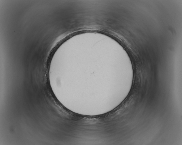 X0000111231168200907301240