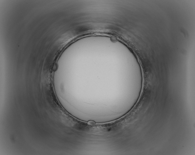X0000111231169200907301240