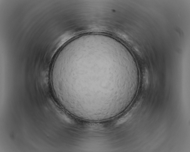 X0000111231170200907301240