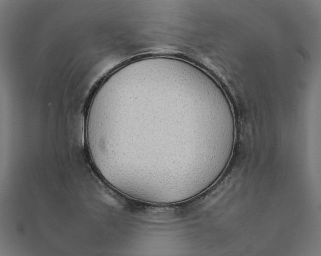 X0000111231171200907301240